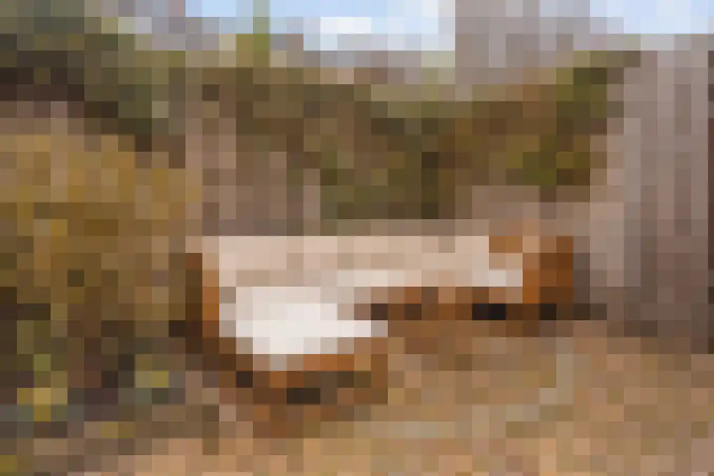 Graaf Aelbrechtlaan 112 Amstelveen thumbnail 17