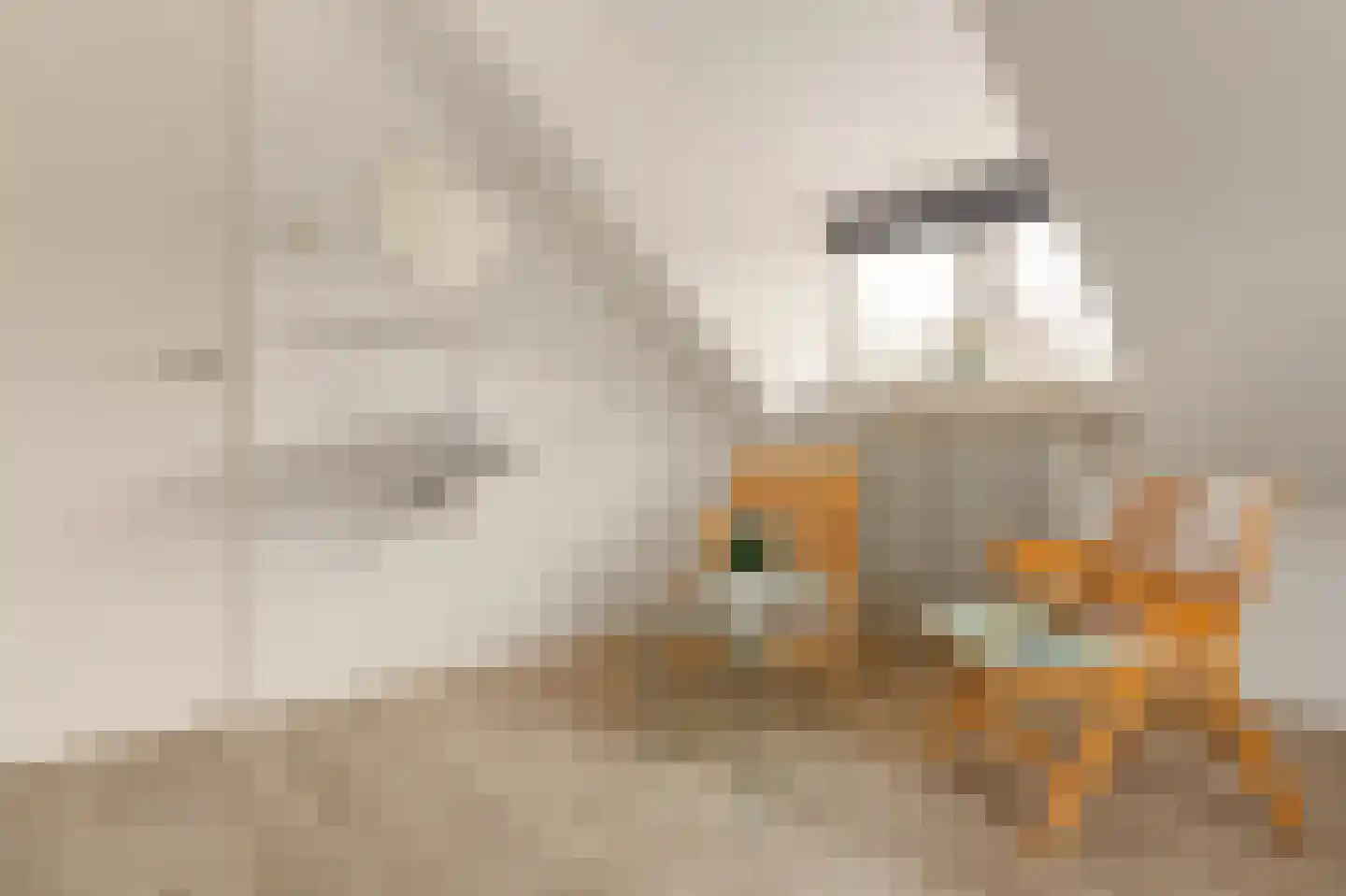 Graaf Aelbrechtlaan 112 Amstelveen thumbnail 31