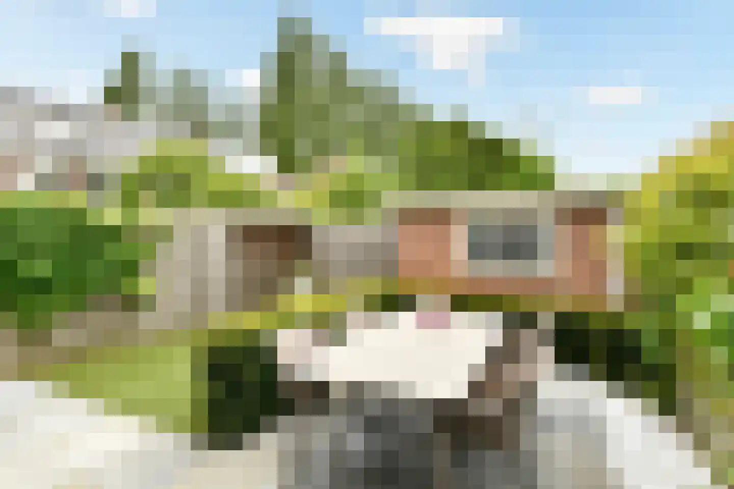 Graaf Aelbrechtlaan 114 Amstelveen thumbnail 16