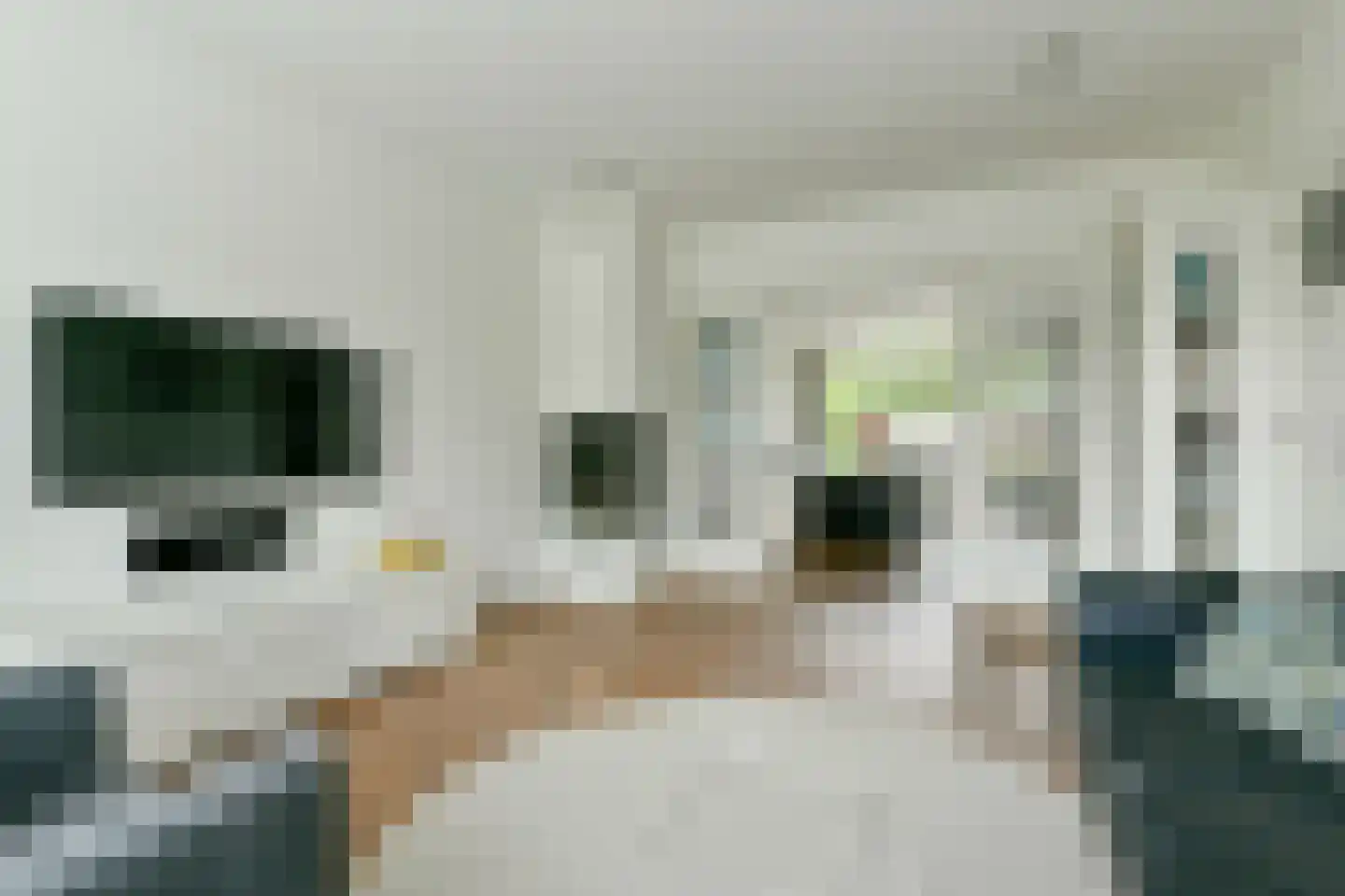 Graaf Aelbrechtlaan 114 Amstelveen thumbnail 7