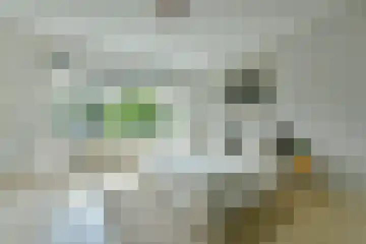 Graaf Aelbrechtlaan 118 Amstelveen thumbnail 11