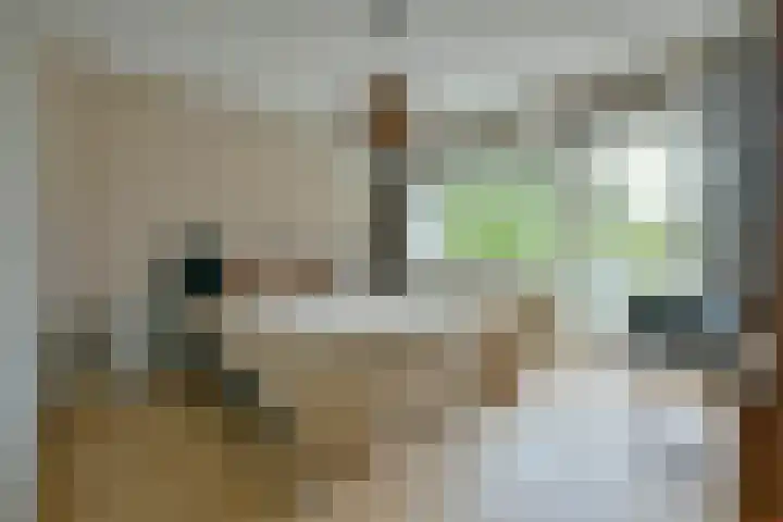 Graaf Aelbrechtlaan 118 Amstelveen thumbnail 12