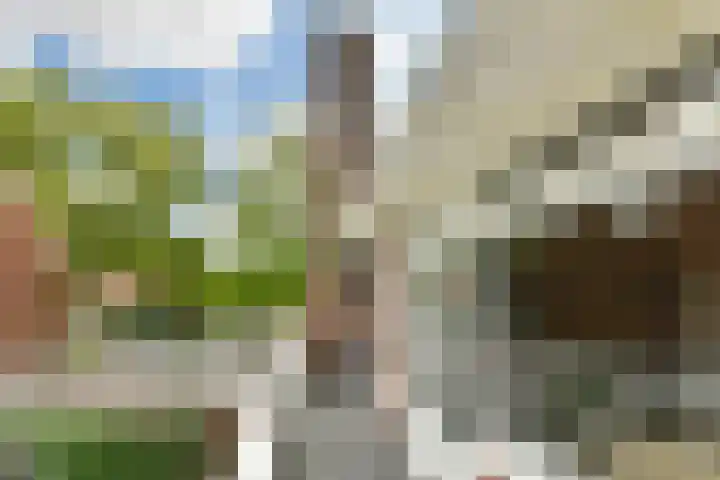 Graaf Aelbrechtlaan 118 Amstelveen thumbnail 18