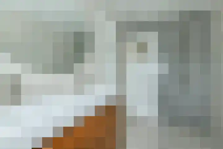 Graaf Aelbrechtlaan 118 Amstelveen thumbnail 20