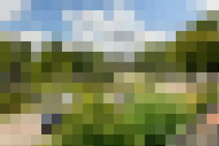 Graaf Aelbrechtlaan 118 Amstelveen thumbnail 24