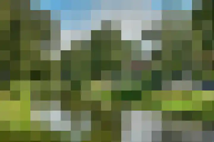 Graaf Aelbrechtlaan 118 Amstelveen thumbnail 25