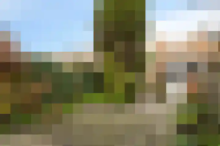 Graaf Aelbrechtlaan 158 Amstelveen thumbnail 10