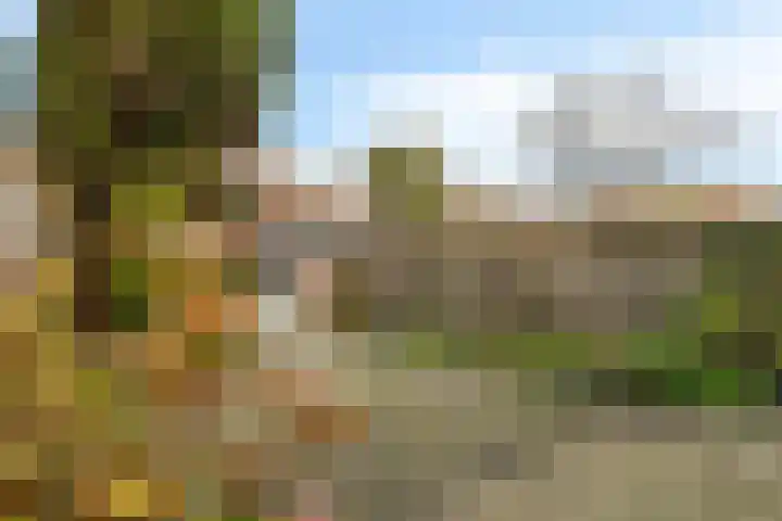 Graaf Aelbrechtlaan 158 Amstelveen thumbnail 11