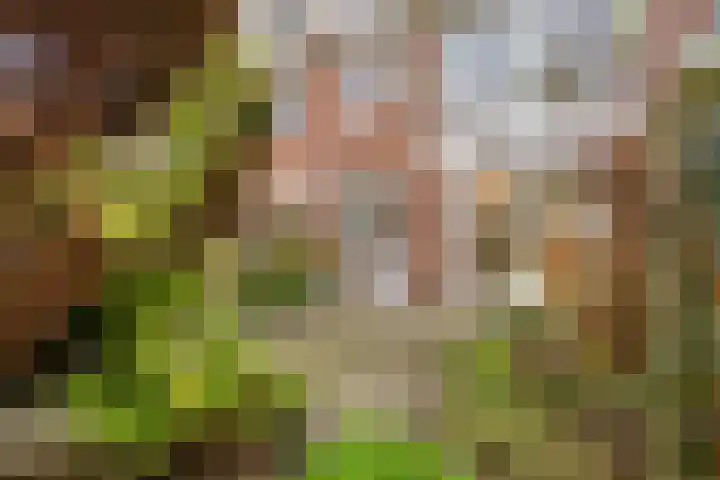 Graaf Aelbrechtlaan 158 Amstelveen thumbnail 12