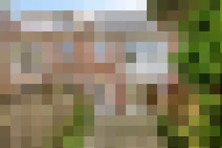 Graaf Aelbrechtlaan 158 Amstelveen thumbnail 13