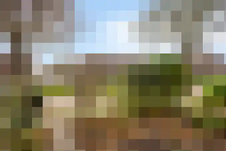 Graaf Aelbrechtlaan 158 Amstelveen thumbnail 26