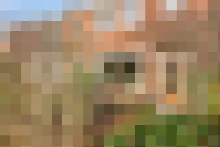 Graaf Aelbrechtlaan 158 Amstelveen thumbnail 27