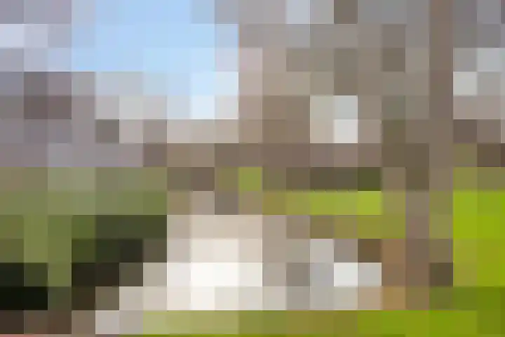 Graaf Aelbrechtlaan 158 Amstelveen thumbnail 30