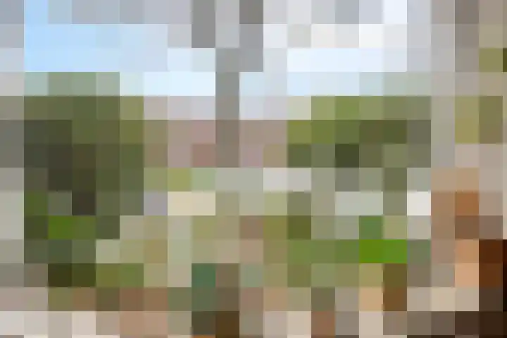 Graaf Aelbrechtlaan 158 Amstelveen thumbnail 4