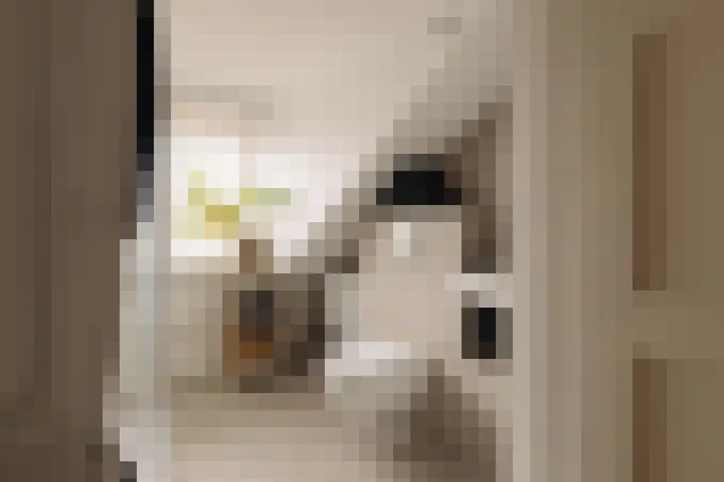 Graaf Aelbrechtlaan 164 Amstelveen thumbnail 37