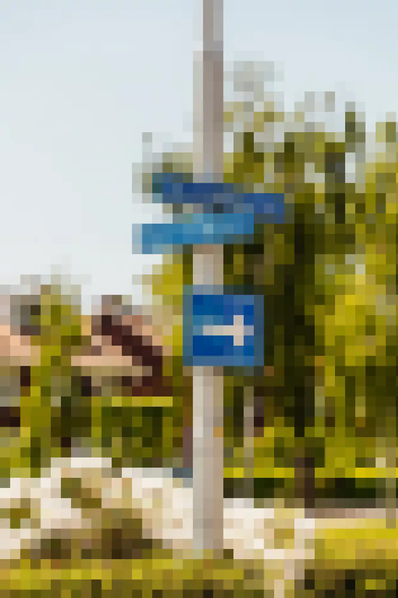 Graaf Aelbrechtlaan 164 Amstelveen thumbnail 41