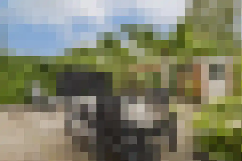 Graaf Aelbrechtlaan 25 Amstelveen thumbnail 16