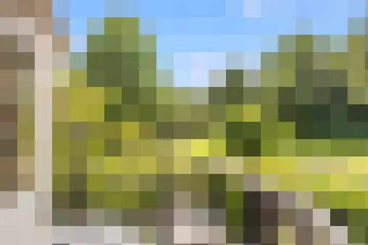 Graaf Aelbrechtlaan 4 Amstelveen thumbnail 31