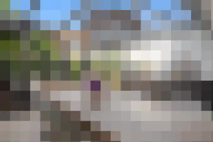 Graaf Aelbrechtlaan 4 Amstelveen thumbnail 4