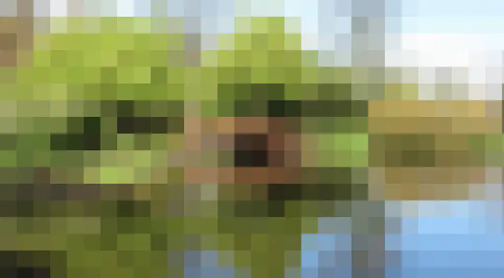 Graaf Aelbrechtlaan 47 Amstelveen thumbnail 36