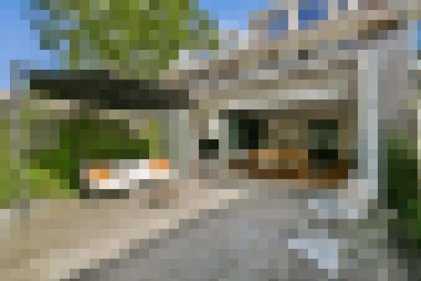 Graaf Aelbrechtlaan 47 Amstelveen thumbnail 8
