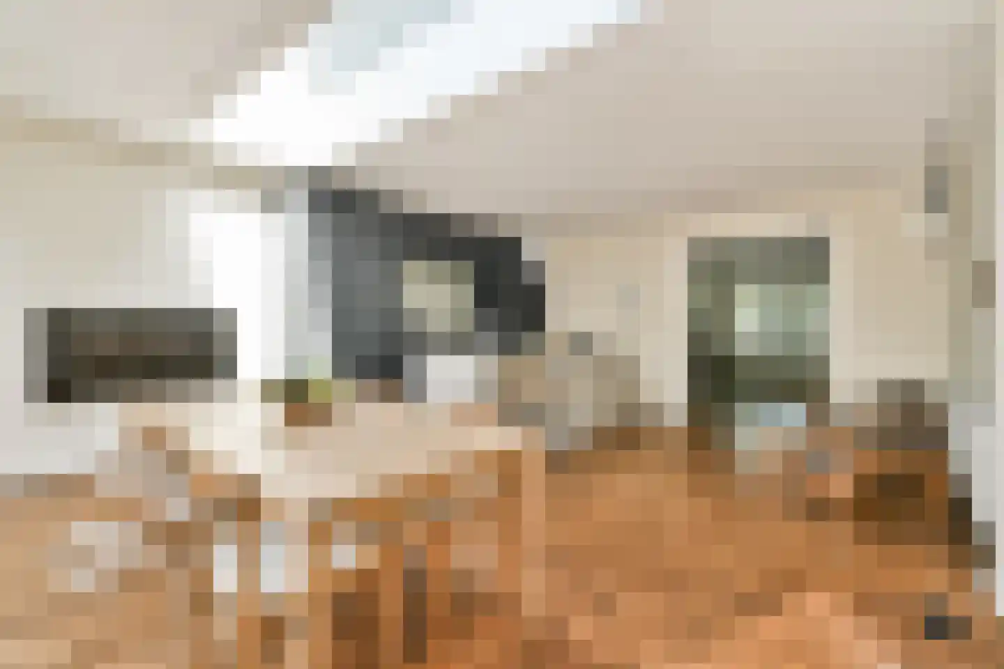 Graaf Aelbrechtlaan 47 Amstelveen thumbnail 9
