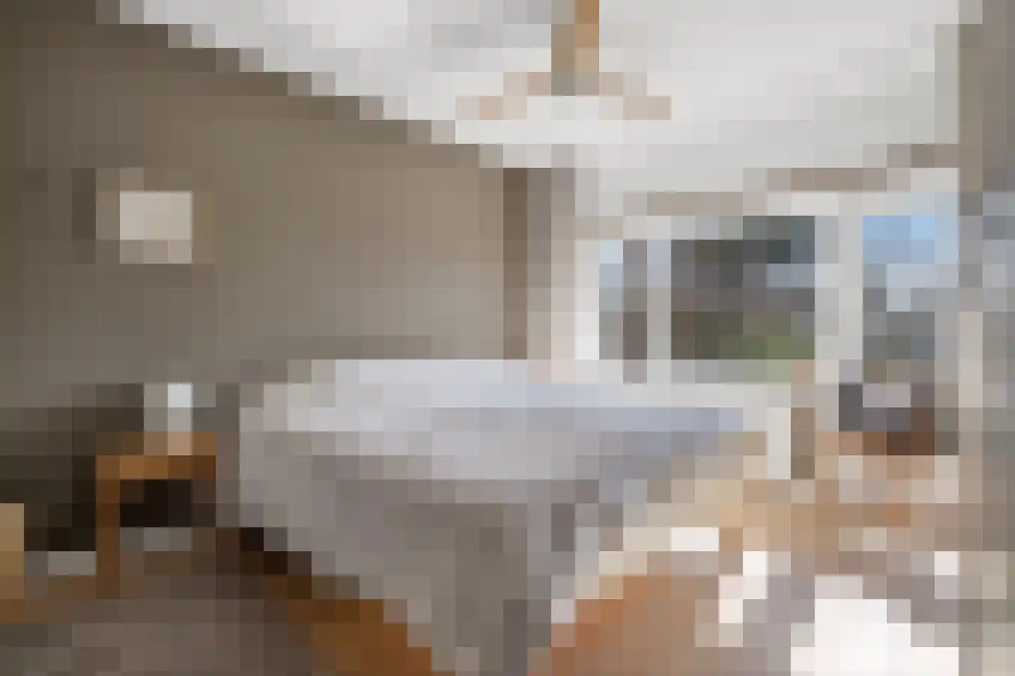 Graaf Aelbrechtlaan 49 Amstelveen thumbnail 15