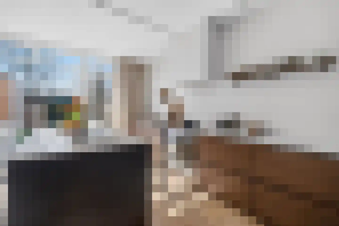 Graaf Aelbrechtlaan 49 Amstelveen thumbnail 4