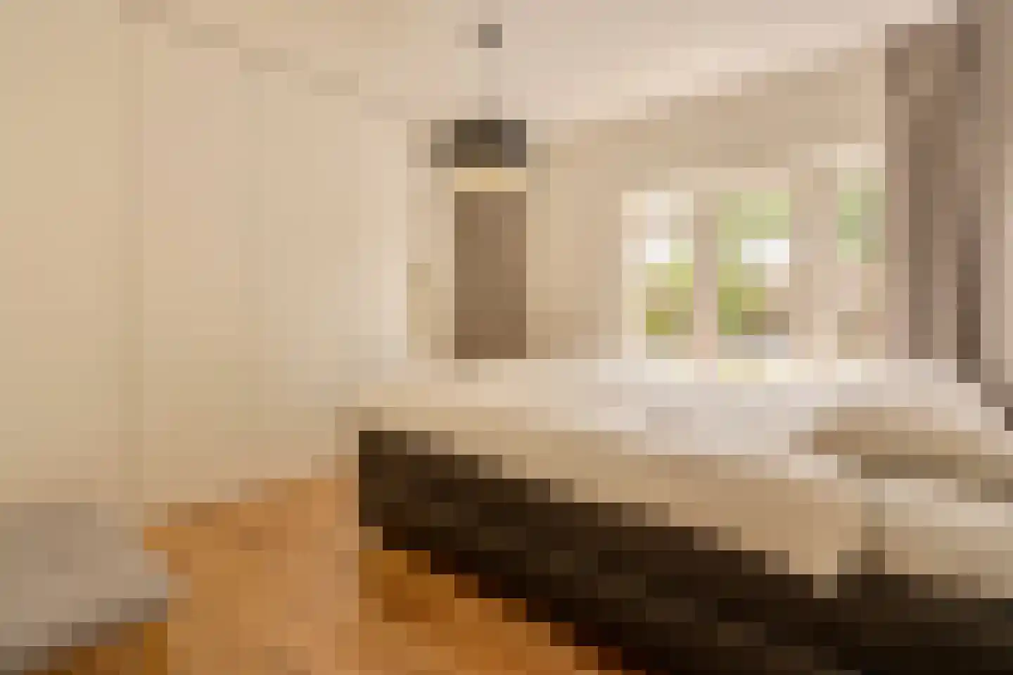 Graaf Aelbrechtlaan 76 Amstelveen thumbnail 18