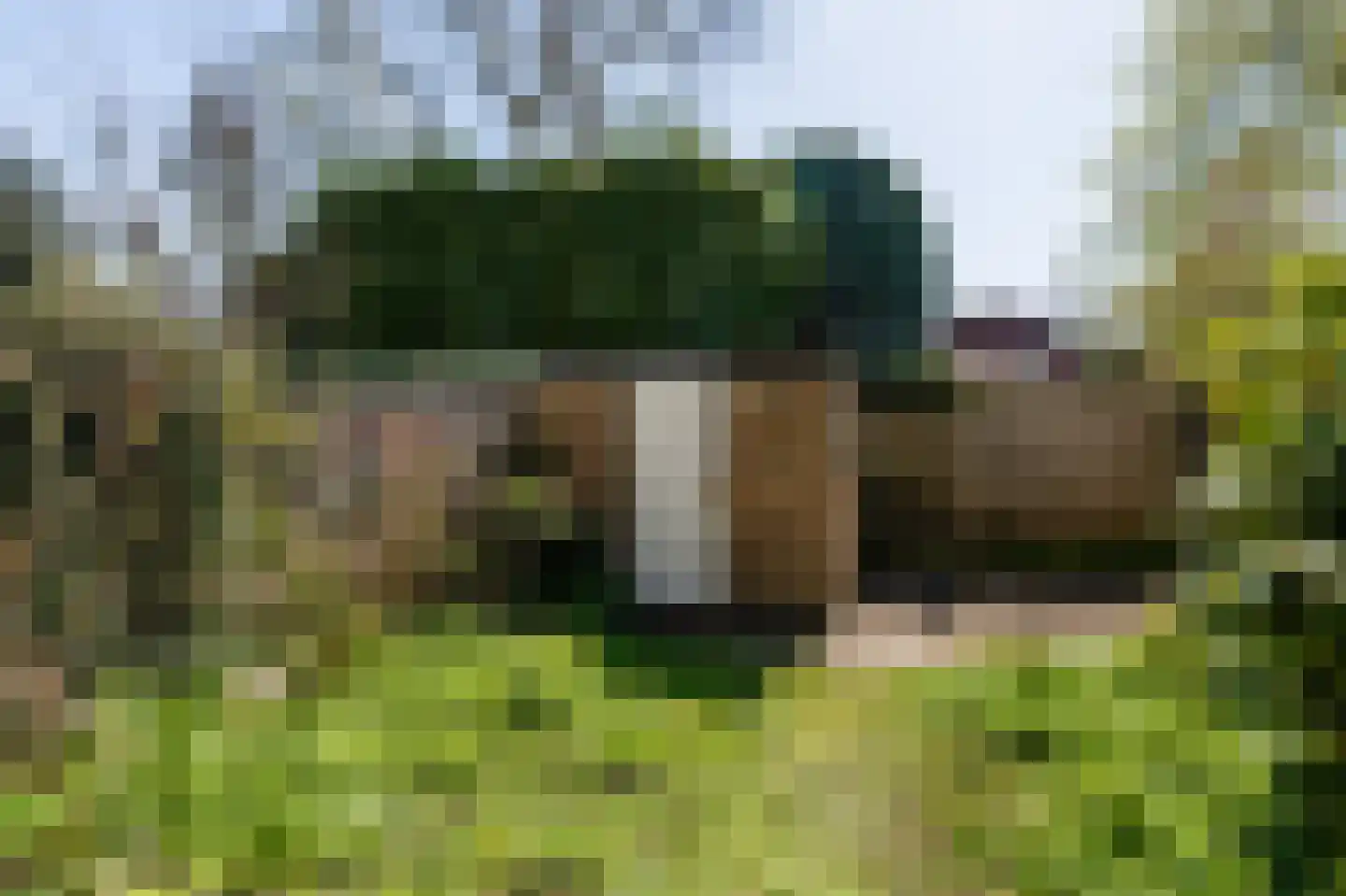 Graaf Aelbrechtlaan 81 Amstelveen thumbnail 10