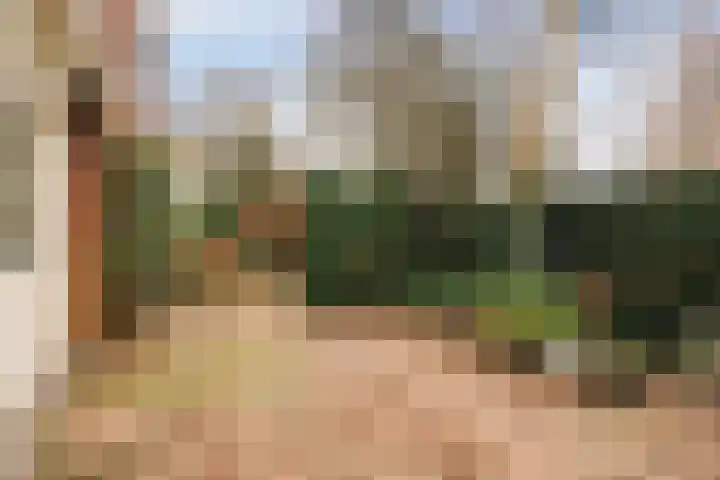 Graaf Aelbrechtlaan 84 Amstelveen thumbnail 15