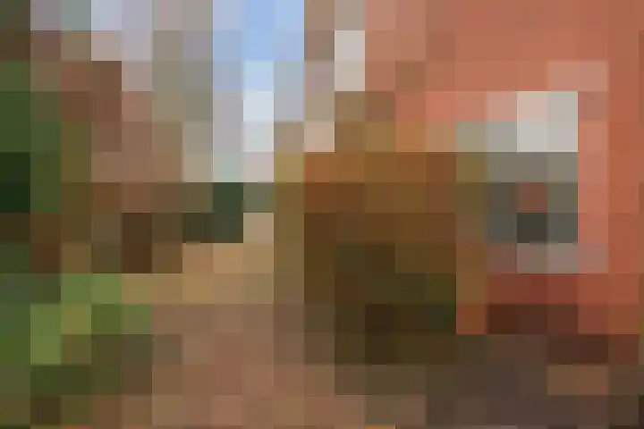 Graaf Aelbrechtlaan 84 Amstelveen thumbnail 16