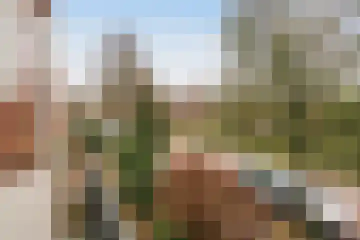 Graaf Aelbrechtlaan 84 Amstelveen thumbnail 21