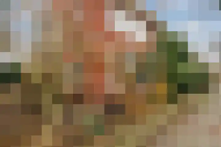 Graaf Aelbrechtlaan 84 Amstelveen thumbnail 32