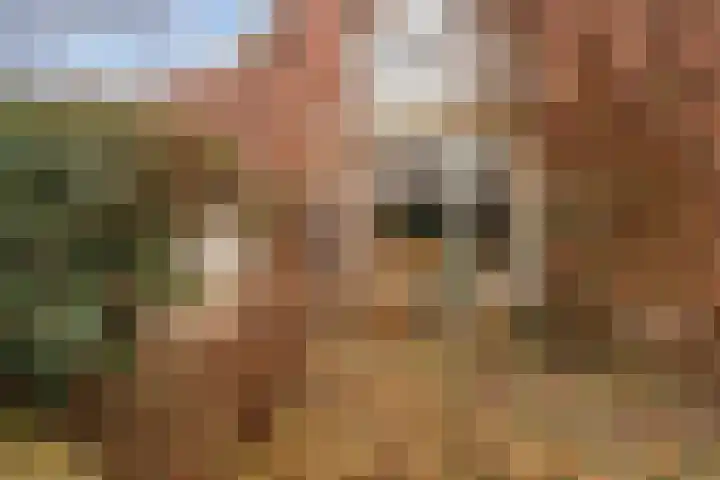 Graaf Aelbrechtlaan 84 Amstelveen thumbnail 33