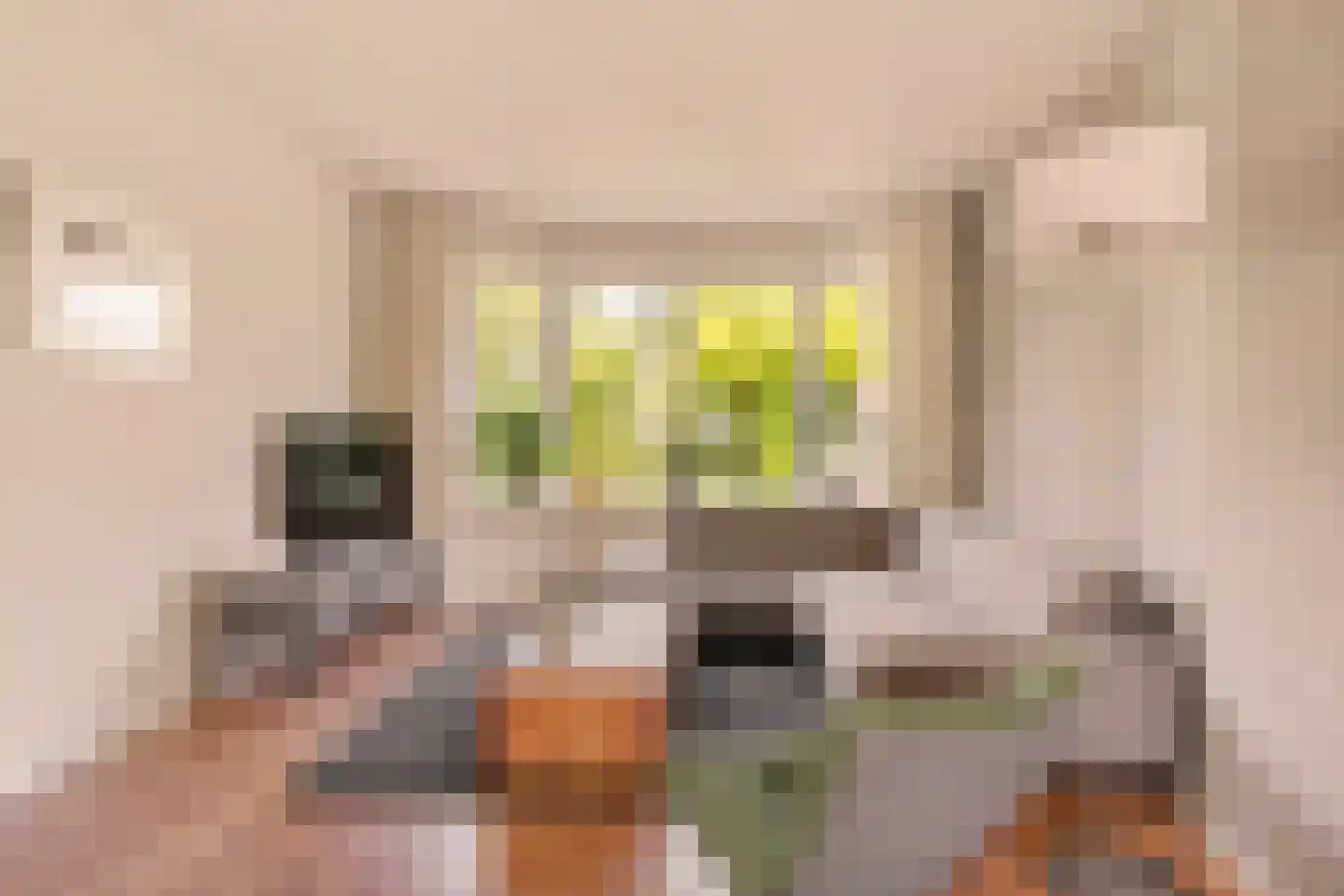 Graaf Aelbrechtlaan 95 Amstelveen thumbnail 4