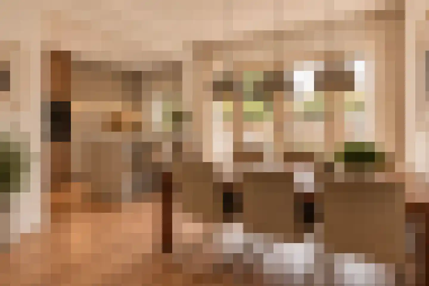Graaf Aelbrechtlaan 95 Amstelveen thumbnail 7