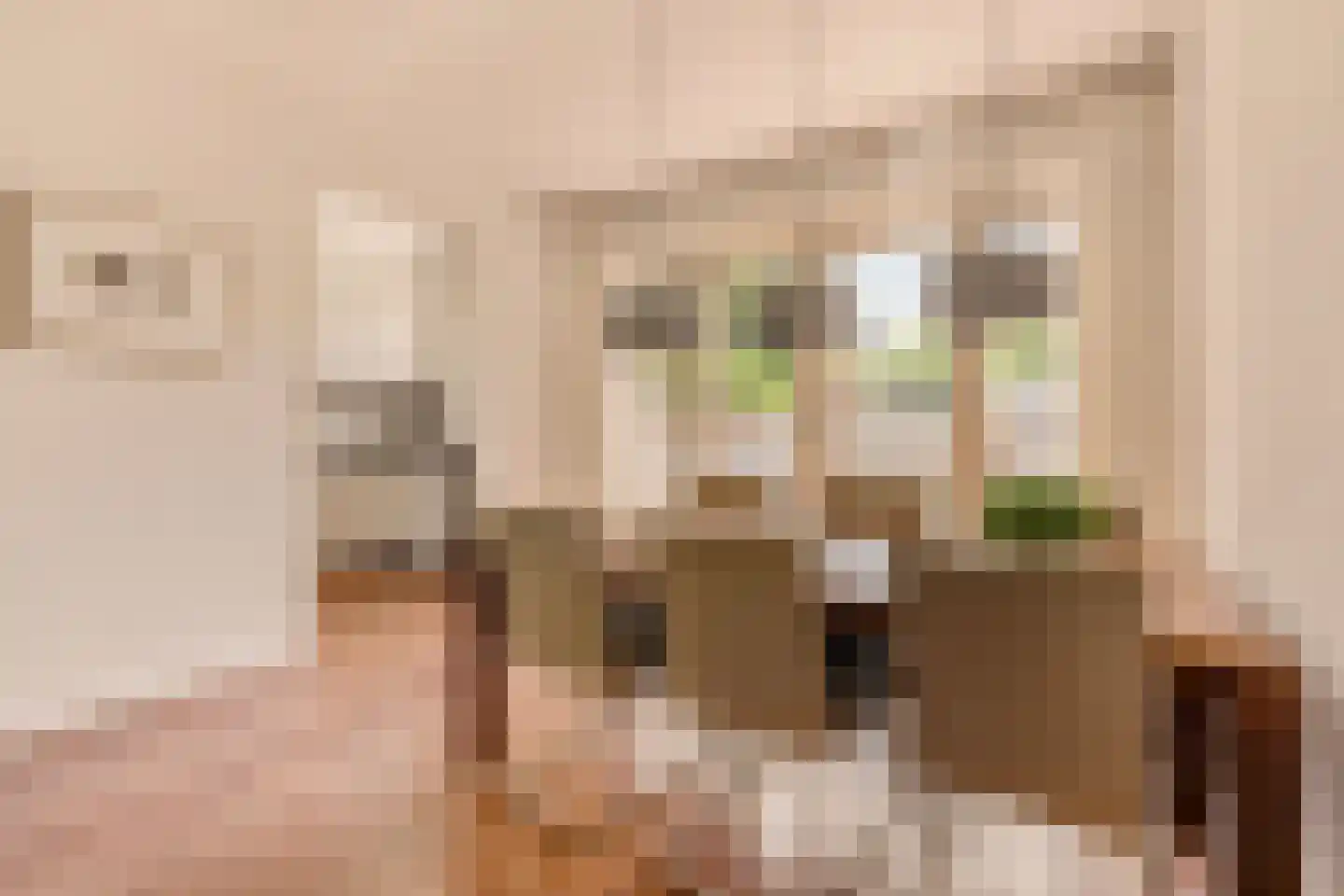 Graaf Aelbrechtlaan 95 Amstelveen thumbnail 8
