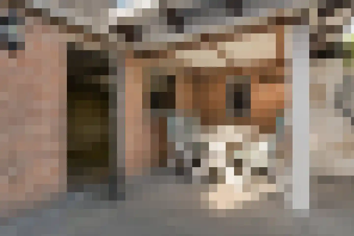 Graaf Alardstraat 36 Megen thumbnail 36