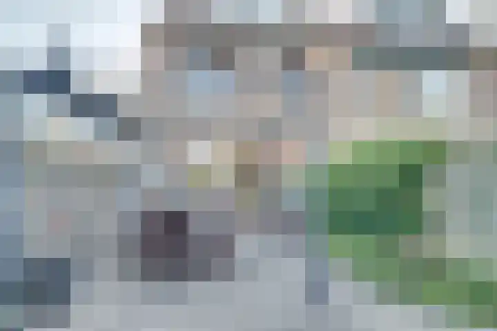 Graaf Albertsingel 17 Nieuwegein thumbnail 31