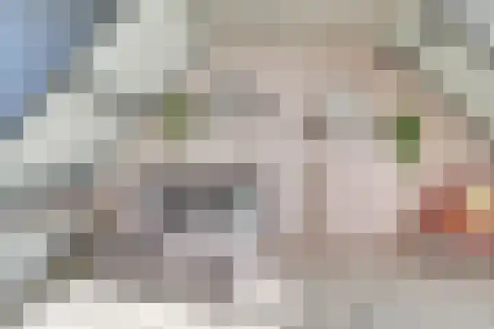 Graaf Albertsingel 17 Nieuwegein thumbnail 4