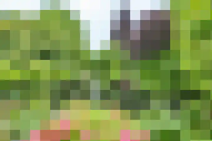 Graaf Albertsingel 23 Nieuwegein thumbnail 41