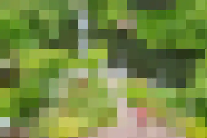 Graaf Albertsingel 23 Nieuwegein thumbnail 5