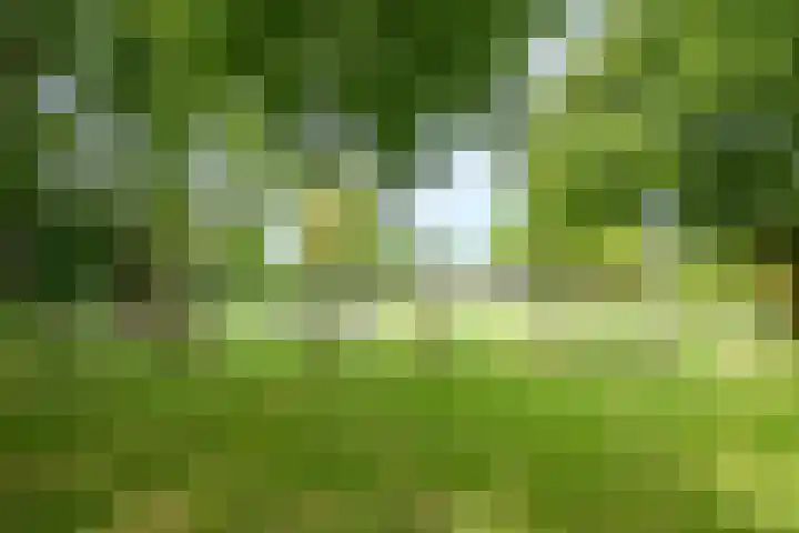 Graaf Albertsingel 23 Nieuwegein thumbnail 53