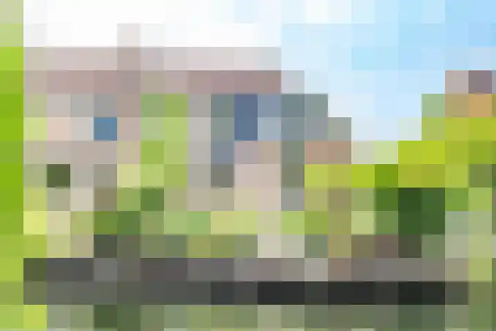 Graaf Albertsingel 23 Nieuwegein thumbnail 55
