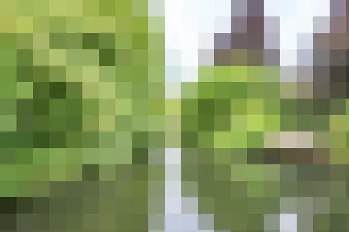 Graaf Albertsingel 23 Nieuwegein thumbnail 61