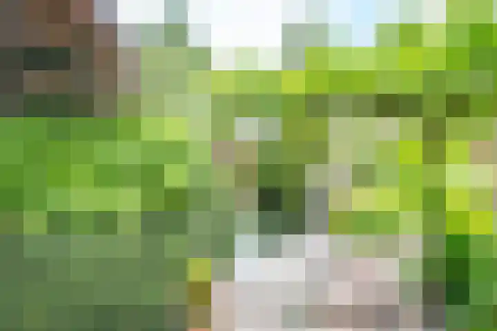 Graaf Albertsingel 23 Nieuwegein thumbnail 62