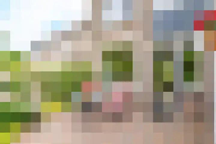 Graaf Albertsingel 23 Nieuwegein thumbnail 64