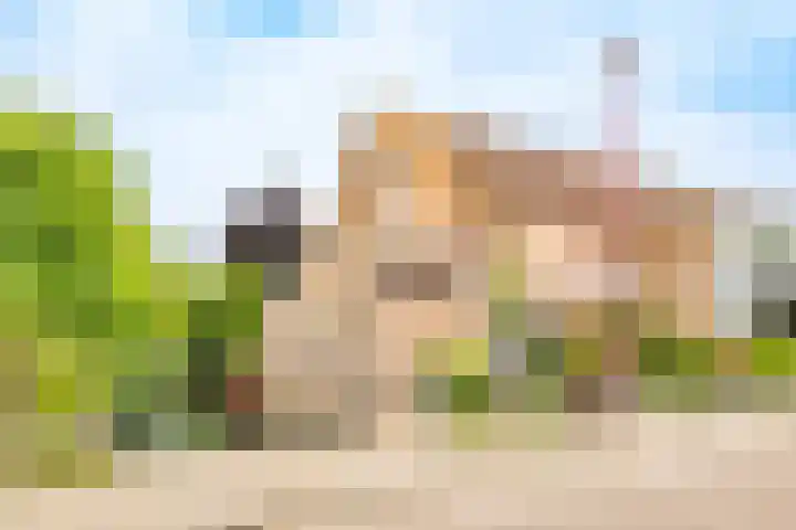 Graaf Albertsingel 23 Nieuwegein thumbnail 89