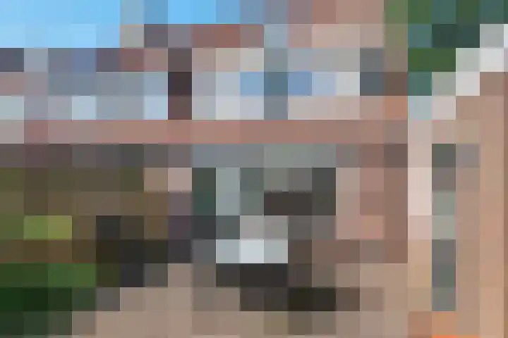 Graaf Albrechtlaan 1 Vogelenzang thumbnail 10